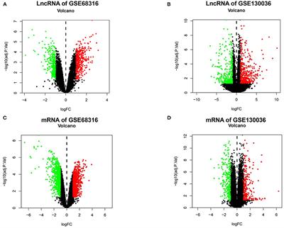 Identification of key genes for hypertrophic cardiomyopathy using integrated network analysis of differential lncRNA and gene expression